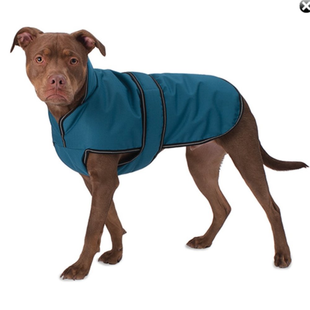 Juneau Dog Waterproof Coat for Small Dog